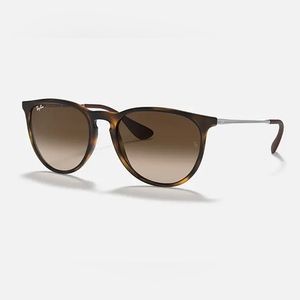 Ray-Ban Erika Sunglasses